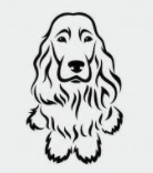 Puppies Plus Help Center home page